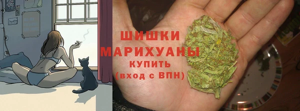 твердый Богородицк