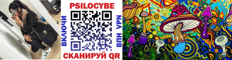 Галлюциногенные грибы Psilocybine cubensis  закладка  ссылка на мегу зеркало  Будённовск 